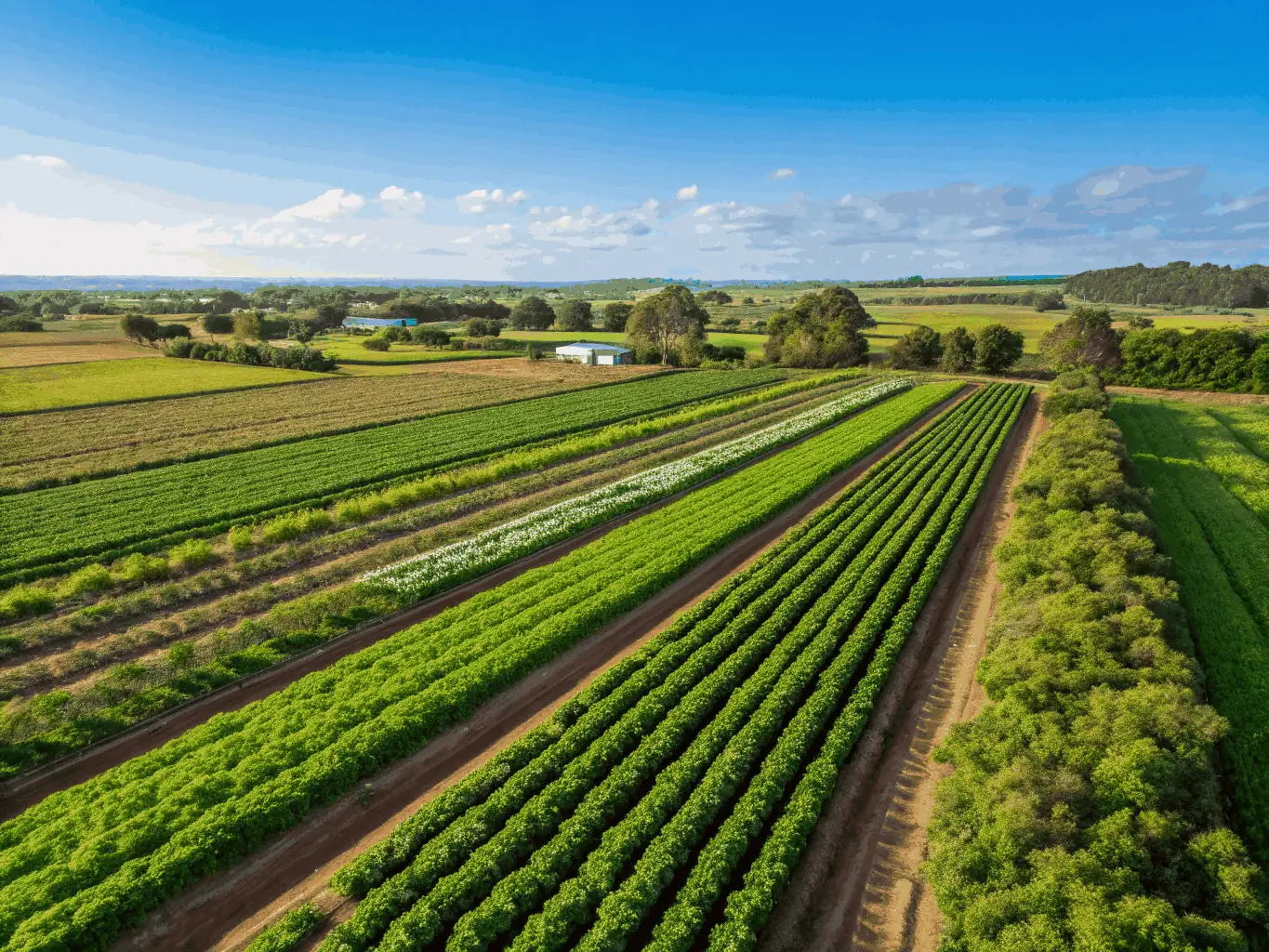 An aerial view of LES JARDINS DE LA TALBATIERE's permaculture garden, demonstrating sustainable land management and resource utilization.